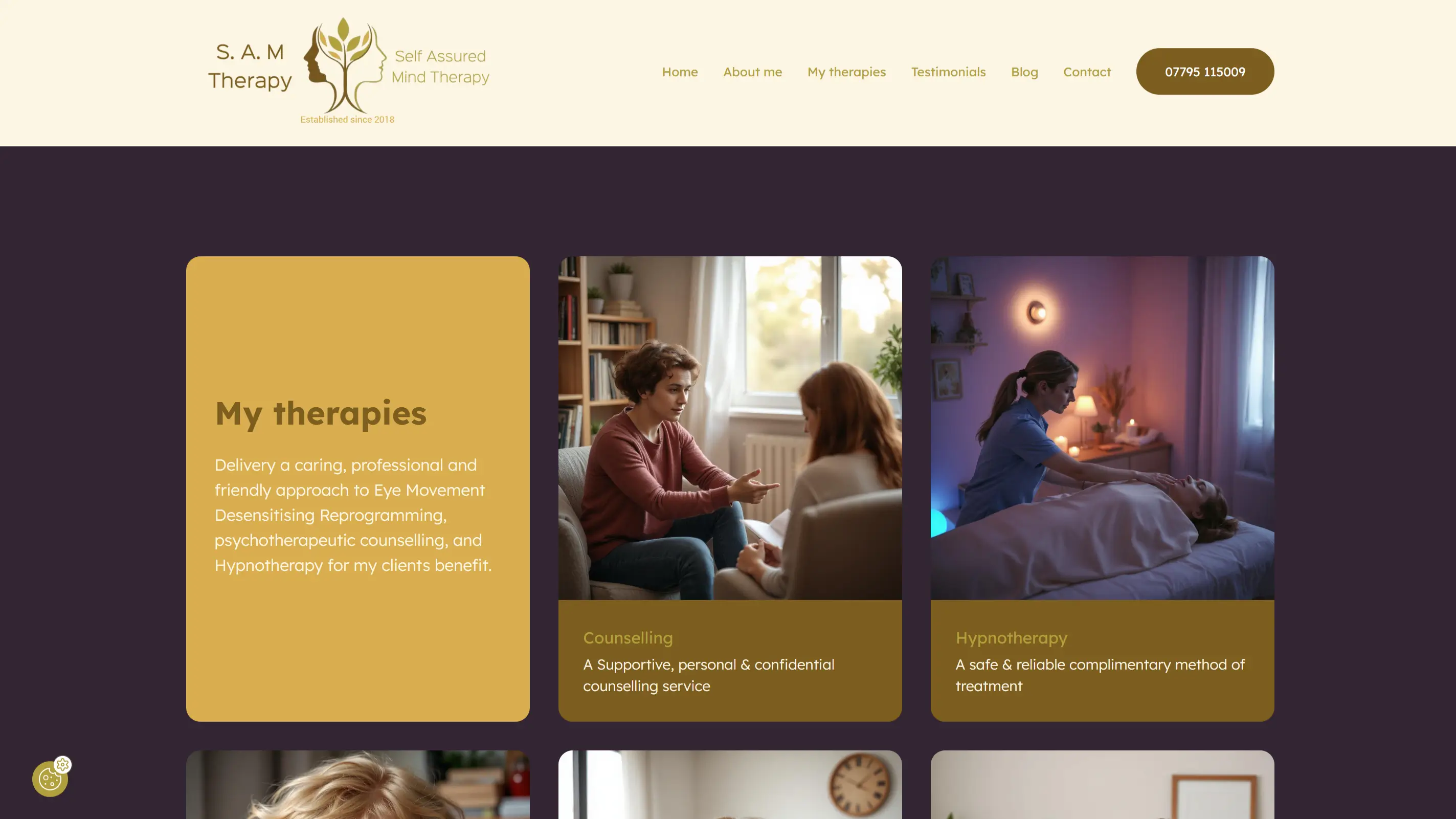 Soanes Signs of Norwich - Affordable web design & local SEO - Work Example 6